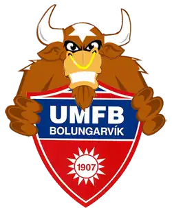 UMFB Basketball logo