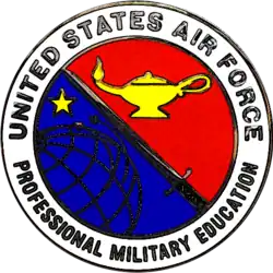 Air Force Professional Military Education Badge