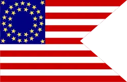 United States Cavalry guidon.
