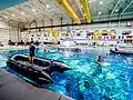 Orion capsule recovery diver practice
