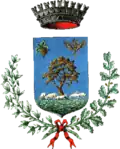 Coat of arms of Ussaramanna