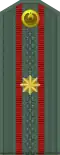 Mayor (Uzbek Ground Forces)[95]