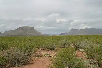 Similar view of Threemile Mountain (left) and Beach Mountains (right) in 2008