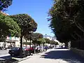 Via Regina Margherita