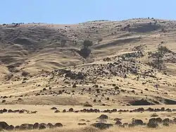 Remnants of volcanic explosion deposits