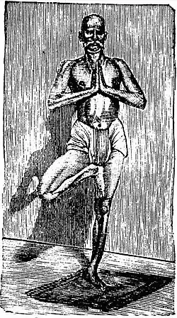 Vrikshasana