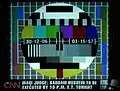 TV Stories (2006) oil on canvas series
