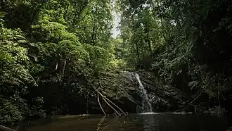 A waterfall in the heavily forested Northern Range
