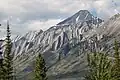 Cone Mountain