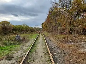 A single railroad track in a partially wooded area