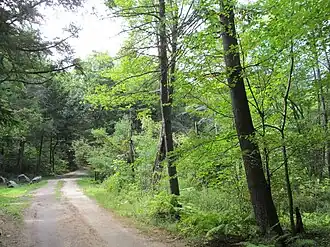 Road