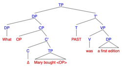 Syntax Tree for Wh-Cleft/Pseudo-Cleft sentence: "What Mary bought was a first edition"