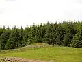 White Cairn.