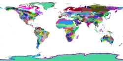 Image 4WWF terrestrial ecoregions (from Ecoregion)