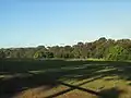 Yaralla Estate field and Turpentine forest