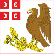 Flag of Kragujevac