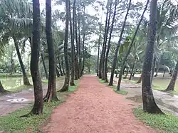 Trees