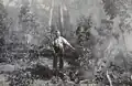 Burning off near Moscow Villa. Circa 1951