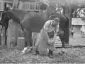 Moscow Villa - 1951