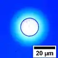 Circular hole formed in a 100&nbsp;nm thick film of polystyrene. The blue color of the film is due to Structural coloration and depends on the film's thickness.