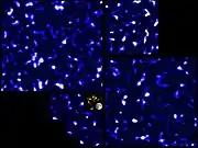 DM map by the CFHT Lensing Survey (CFHTLenS) using the Canada–France–Hawaii Telescope (2012). (COSMOS map at the center)