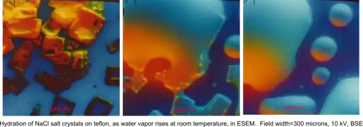 Hydration of NaCl crystals on Teflon, as water vapor pressure rises, at room temperature, in an ESEM by the use of two symmetrical plastic scintillating backscattered electron detectors. Field width 300&nbsp;μm, 10 kV