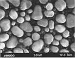 Resolution test specimen of gold particles on carbon in ESEM, at high magnification. Field width 1.2&nbsp;μm